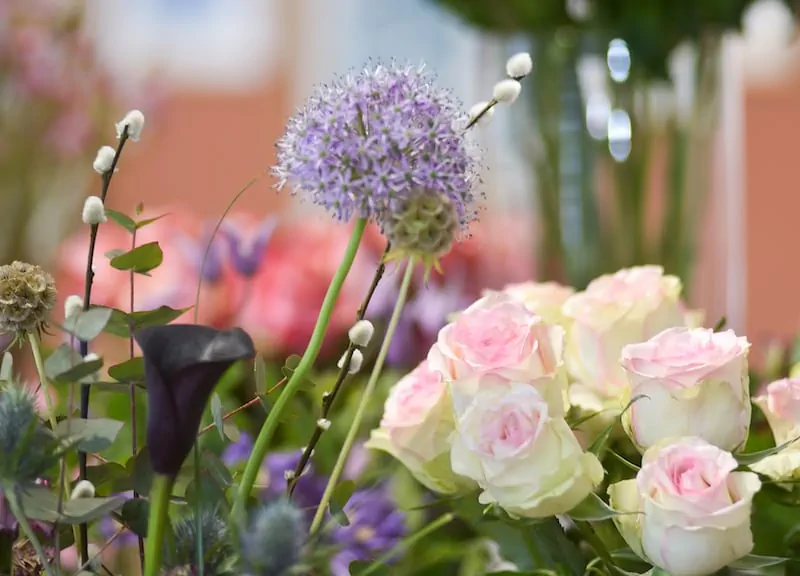 Florales Lübeck – Blumen fürs Büro